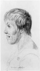 Epileptic Woman, Profile, Illustration from an Unpublished Treatise by Jean Etienne Dominique Esquirol (1772-1840) on the Lunatics of the Salpetriere Asylum, c.1818